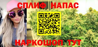 гидра Бузулук