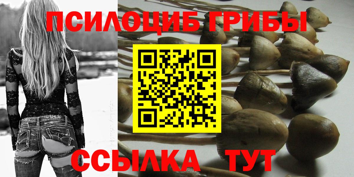 Псилоцибиновые грибы GOLDEN TEACHER  Вход с VPN  Ижевск 