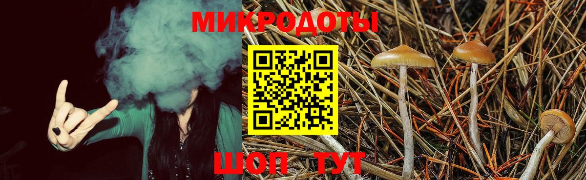Псилоцибиновые грибы прущие грибы Ижевск